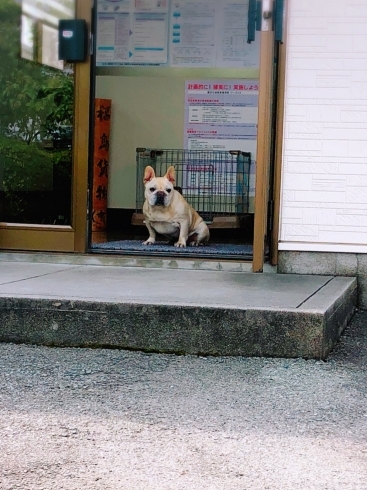 「係長！逃げてもいいんですよ！笑」