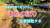 「地域限定品種「固定種」あかのぼりネギ　タネのハシモト」