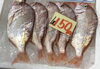 「4月15日(水) 西海橋物産館　魚魚市場のおすすめは「レンコダイ」です♪」