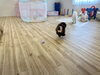 リリーちゃん　いつもみたいに浮いてます　笑「ましゅまろ幼稚園　^ - ^」