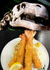 「4月17日『✨恐竜の日✨』1923年(大正12年)アメリカの動物学……本日のおすすめmenu✨えびフライ定食……¥950-(4本入)地魚食道 瓢でお魚ランチいかがですか？(o^∀^o)」