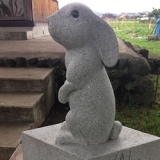 鳥取東部・白兎ゆかりの神社巡り