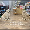 新型コロナウィルスの終息を願っております。「新型コロナウイルス感染拡大防止に伴う、営業時間短縮のお知らせ」
