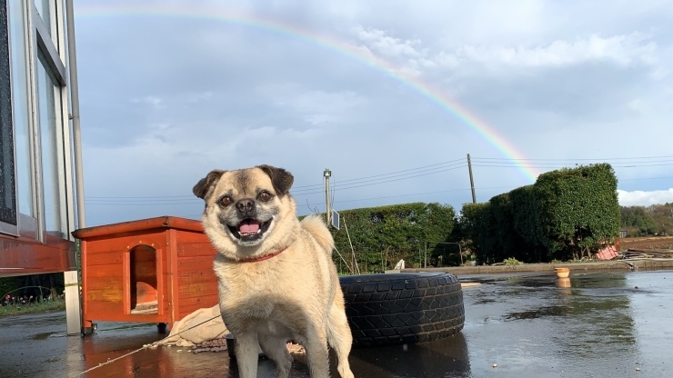 No Rain No Rainbow 霞観光株式会社のニュース なめがた日和 行方市