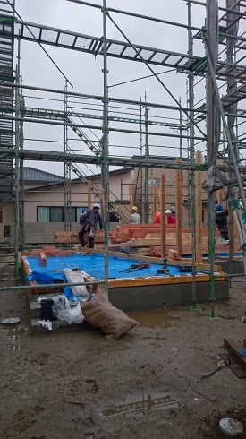 シェリーメイゾンＮＯ１上棟「今日は建売住宅「シェリーメイゾン」ＮＯ１の上棟を行いました。」