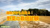 「【実証】野菜苗の水温管理　タネのハシモト」