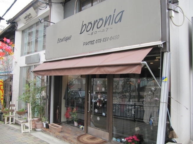 「【ひらかたポイント協力店】boronia（ボローニア）　のご紹介」
