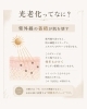 紫外線の肌ダメージ recalc「紫外線による光老化とは？未来の肌を守るために今できること」