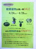 「26日まで観葉植物20%offです！！」
