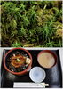 「4月24日『植物学の日』1862年に……本日のおすすめmenu！！穴子丼……¥1,200-です。漁協の食堂でお魚ランチいかがですか？(◍˃̶ᗜ˂̶◍)ﾉ"」