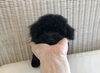 おむかえ「お迎え&予約状況　(*^-^*)」