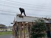 「中野町のリノベーション工事　No.2」