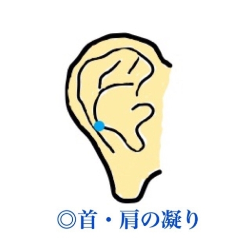 首・肩の凝り「疲れた体に効く！耳つぼ紹介！」