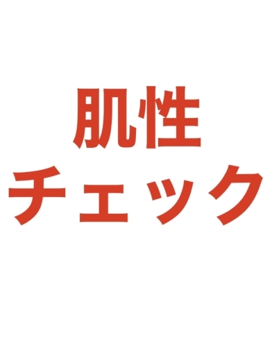 「お悩み原因、肌性チェック」