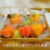 パプリカ購入だけでもお気軽にどうぞ♪「仁木町産『シャインマスカットパフェ』」
