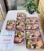 「緊急企画！がんばれ飲食店！【25】越前市　鮮魚料理みどり屋」