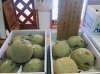「宮崎県産メロンはいかがですか～！」