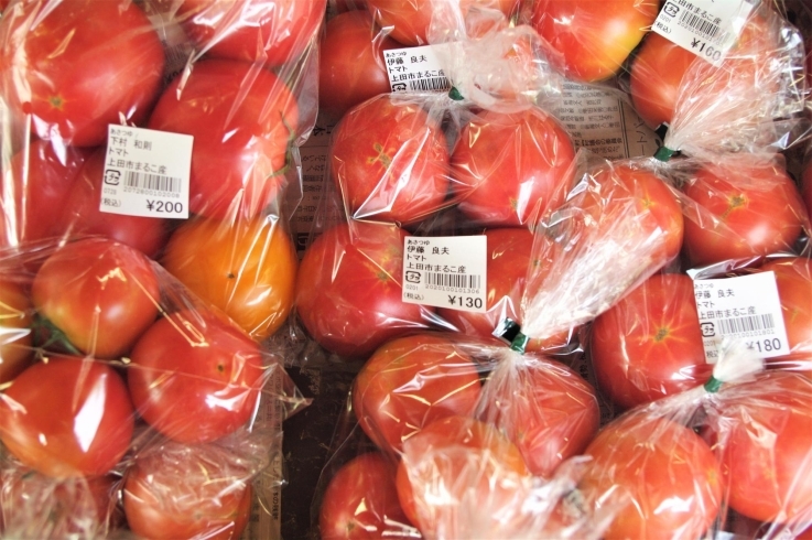 伊藤さんの育てたトマト（2019）「トマトの苗育ってま～す！」