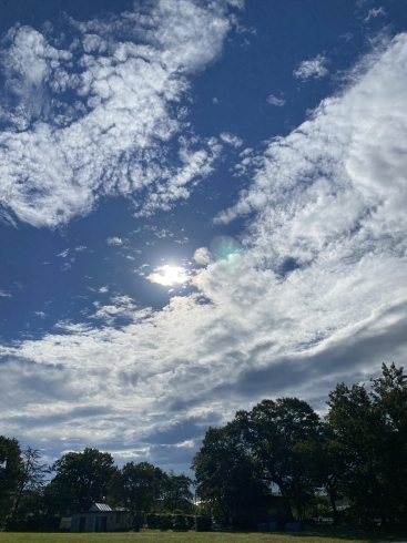 秋を思わせる今朝の空「オリンピックもそうだけど、今若い人がエラい❣️」