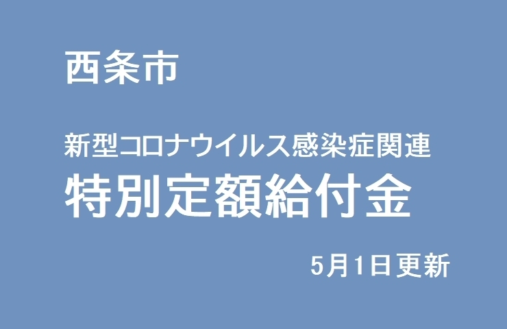 「特別定額給付金の申請について（5/1）」