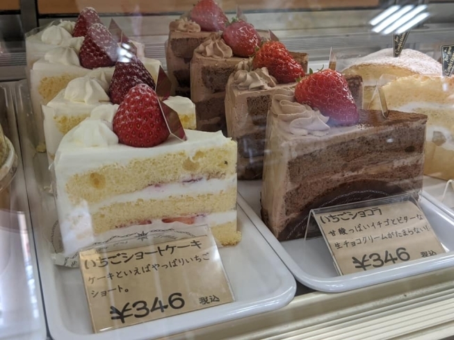 永久堂のケーキをゆっくりお家でいかがですか 愛媛のまじめな洋菓子店 永久堂のニュース まいぷれ 新居浜市