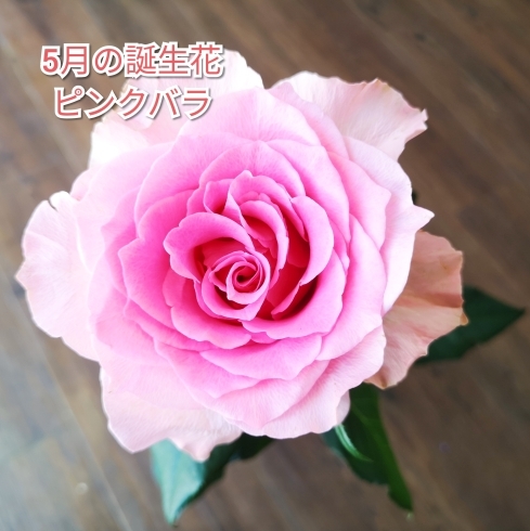 5月の誕生花にかけて 西川香花園のニュース まいぷれ 三次市