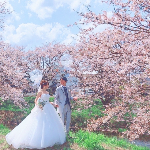 前撮りや結婚式の飾り付けに人気なお名前入りバルーン「お客様からのウェディングレポ♡3月に桜と共にウェディングドレスとタキシードで撮影されました」