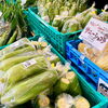 「木曽産とうもろこしを食べよう！」