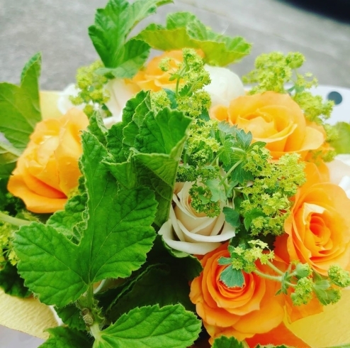 美しいグリーンがお花を一層まぶしくして。「今年の5月は毎日が母の日(^^)」