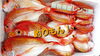 【釣りもん！】島根県産レンコ鯛「○本日のお刺身【釣りもん！島根県産レンコ鯛】【定置もん！島根県産白イカ】」