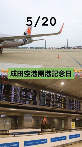 本日5月日は 成田空港開港記念日 です 1978年 昭和53年 の 5月は瓢 ひさご 休業頂いております 営業再開は6月1日を予定しております 宜しくお願い致します M M 地魚食道 瓢のニュース まいぷれ 新潟市