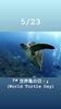 5/23 世界亀の日「本日5月23日は『世界亀の日』(World Turtle Day)﻿です。瓢(ひさご)は5月休業頂いております。営業再開は6月1日を予定しております。よろしくお願いします。m(_ _)m」