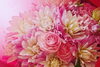 「【ひらかたポイント協力店】florist K-house のご紹介」