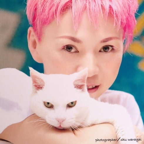 Ayakinさんと愛猫の「白猫ウメちゃん」「◆◆【笠間応援：未来プロジェクト】『Ayakin』さんからの応援メッセージ◆◆」