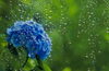 湿気「☆梅雨の湿気対策☆」