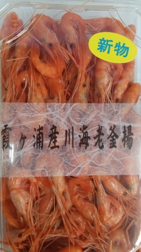 120g  税込324円「新物入荷❗プラス」