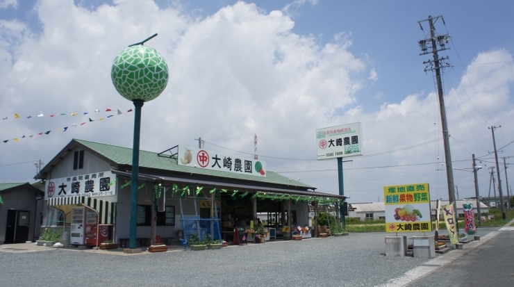 大崎農園「スイカ・メロン大崎農園開店(^_-)-☆」