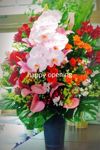 ピンクの染め上げ胡蝶蘭の豪華なアレンジ。「６月スタート！開店御祝いをお届けいたしました。」