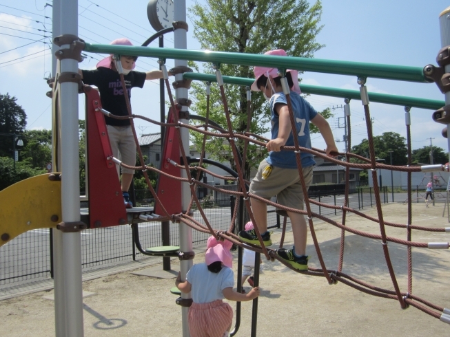 晴天なり～♪「絶好の戸外日和♪」