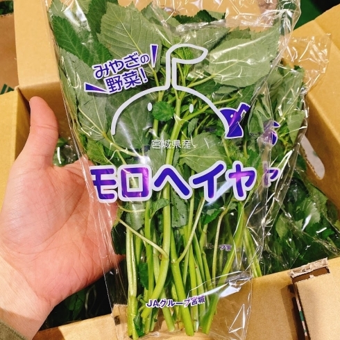 「夏野菜の宮城県産「モロヘイヤ」が入荷していますよ～♬」