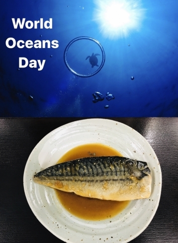 「6/8(月)は、『✨世界海洋デー✨』です。本日のオススメmenu！煮魚定食……¥880-(サバの味噌煮) DHA・EPAさらにビタミンDがたっぷり摂れます。(｀✧ω✧´)」