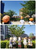 「今日もいい天気☀」