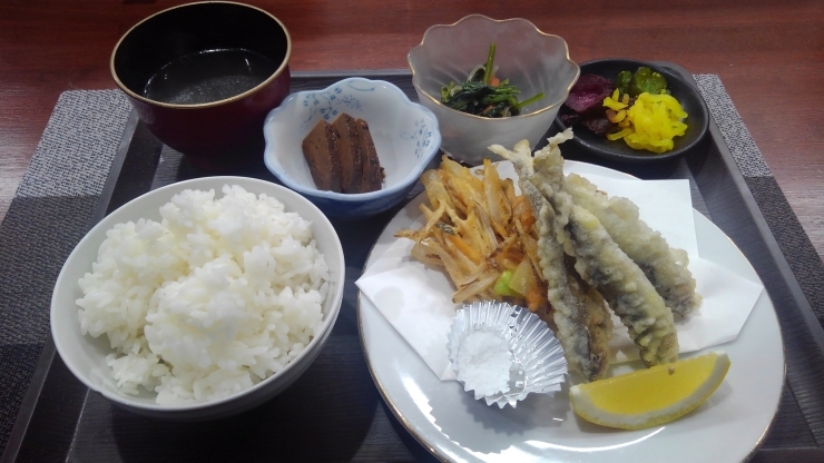 本日の日替わりランチ「今日も元気にランチやってきます、子アユの天ぷら美味しいよ‼️【京都市南区で地鶏を食べるなら！ 鳥夜ゆうこ】」
