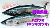 【定置もん】【島根県産ハガツオ(キツネガツオ)】「○本日のお刺身【定置もん】【島根県産ハガツオ、イサキ】」