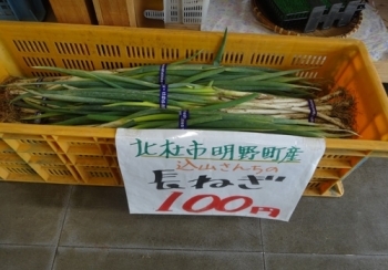 地元で採れたおいしい野菜を安く提供しております。