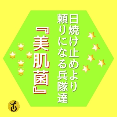 皮膚常在菌「「トラブル肌でお悩みの方、美肌菌ってご存知ですか？」黒部 山内美容室 40代からきれいをみつけるお店」