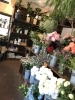 店内リニューアルしました 船橋のお花屋さん フラワーギフトが人気 芽ぶき屋 船橋店のニュース まいぷれ 船橋市