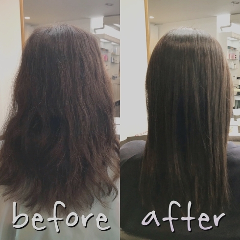 チューニングメニュー 髪質改善は京都市西京区のヘアサロン フレールにお任せ下さい frereのニュース まいぷれ 京都市西京区 南区
