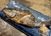 鮮魚の原始焼き<br>西伊豆漁師さんより直送だぞ～！！