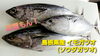 【定置もん】【島根県産イモガツオ】「○本日のお刺身【定置もん】【島根県産イモガツオ、イサキ】」